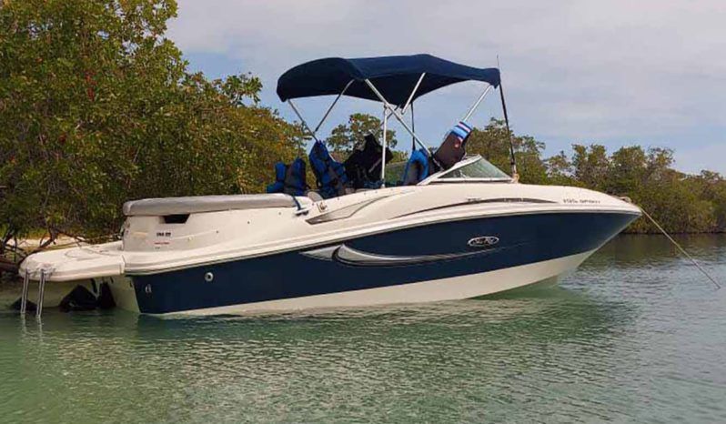 
								SEA RAY 50 ANIVERSARIO 19.5 full									