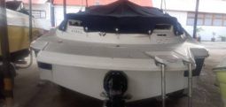 
										SEA RAY 50 ANIVERSARIO 19.5 full									