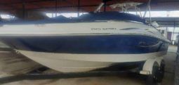 
										SEA RAY 50 ANIVERSARIO 19.5 full									