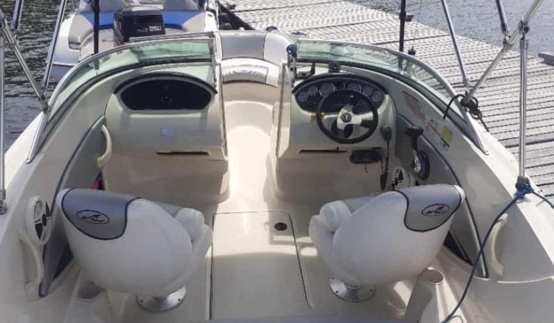 
								SEA RAY 50 ANIVERSARIO 19.5 full									
