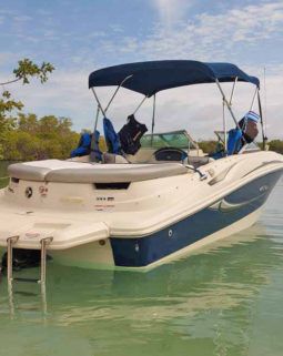 
										SEA RAY 50 ANIVERSARIO 19.5 full									
