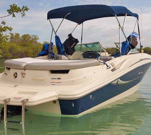
								SEA RAY 50 ANIVERSARIO 19.5 full									