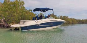 SEA RAY 50 ANIVERSARIO 19.5