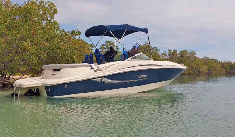 
								SEA RAY 50 ANIVERSARIO 19.5 full									