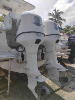 
										PROFINA OPEN 25 full									