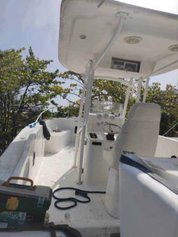 
										PROFINA OPEN 25 full									