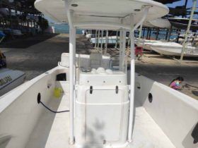 PROFINA OPEN 25
