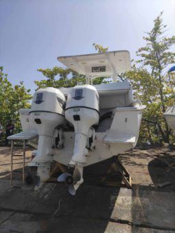 
										PROFINA OPEN 25 full									