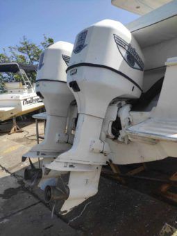 
										PROFINA OPEN 25 full									