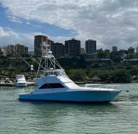 
								VIKING CONVERTIBLE 55 full									