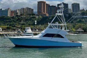 VIKING CONVERTIBLE 55
