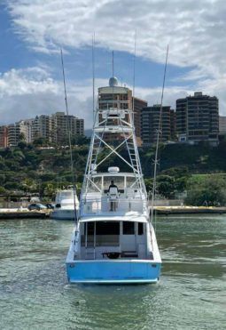 
										VIKING CONVERTIBLE 55 full									