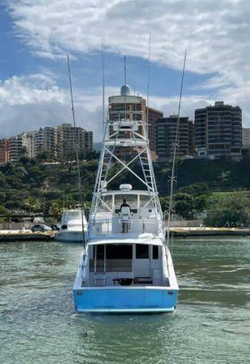 VIKING CONVERTIBLE 55