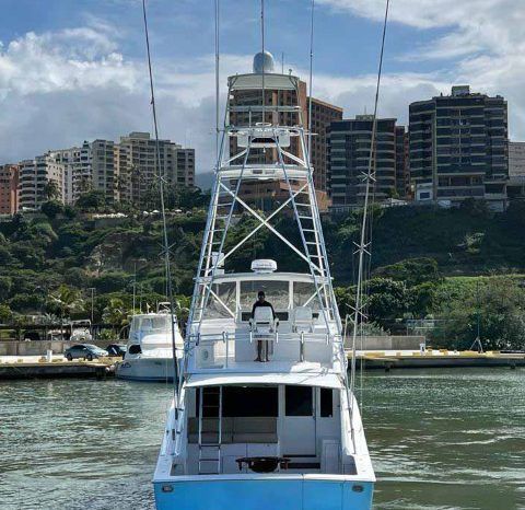 
								VIKING CONVERTIBLE 55 full									