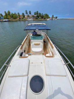 
										LEGACY SQUALO 37.5 full									