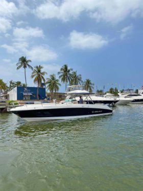 LEGACY SQUALO 37.5