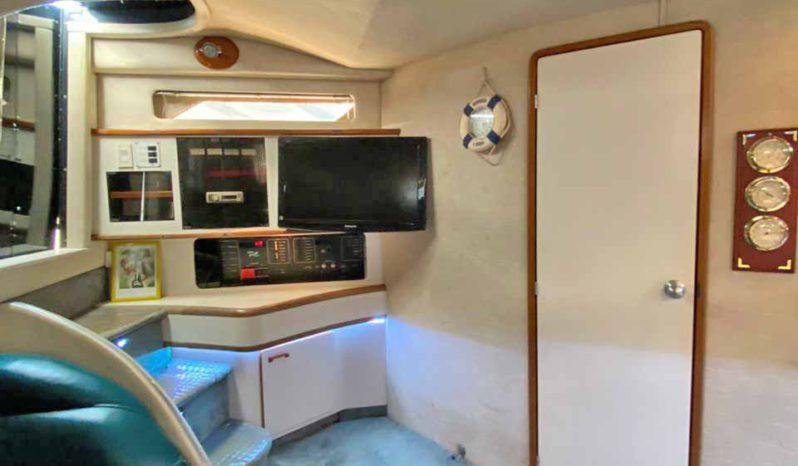 
								SEA RAY SUNDANCER 50 full									