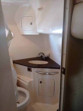 SEA RAY SUNDANCER 44