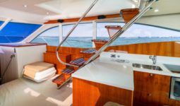 
										MARITIMO A50 full									