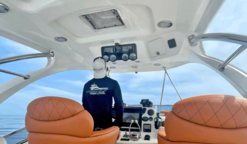 
								SEA RAY SEDAN BRIDGE 52 full									