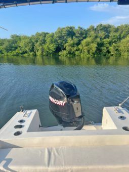 
										PEÑERO COPPOLA 27 full									