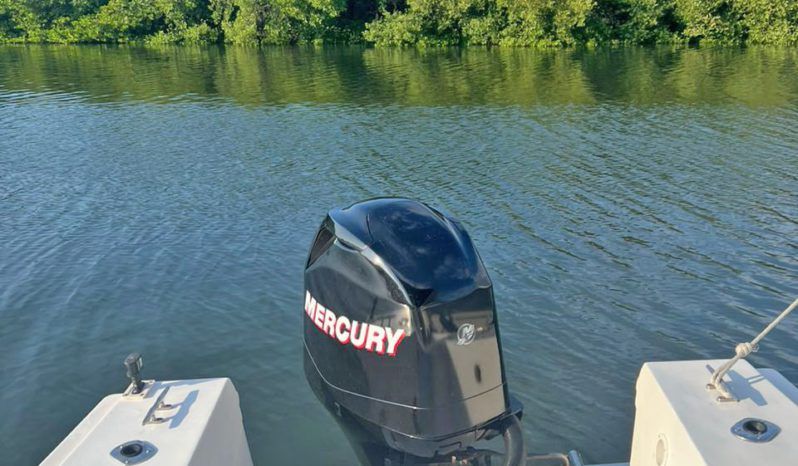 
								PEÑERO COPPOLA 27 full									