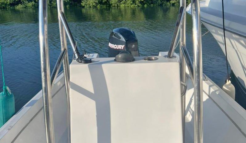 
								PEÑERO COPPOLA 27 full									