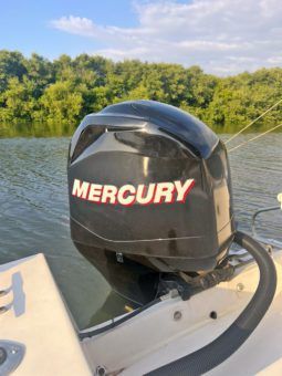 
										PEÑERO COPPOLA 27 full									