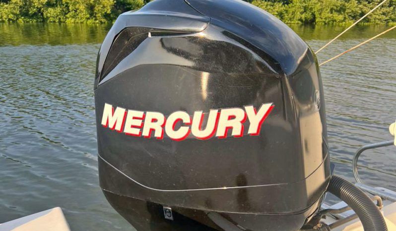 
								PEÑERO COPPOLA 27 full									