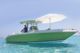 PROMARINE 24