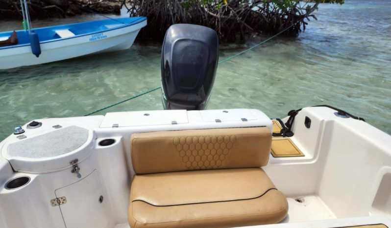 
								AQUANAUTI SPORT 24 full									