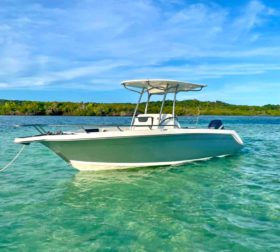 AQUANAUTI 24