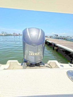 
										AQUANAUTI OPEN 24 full									