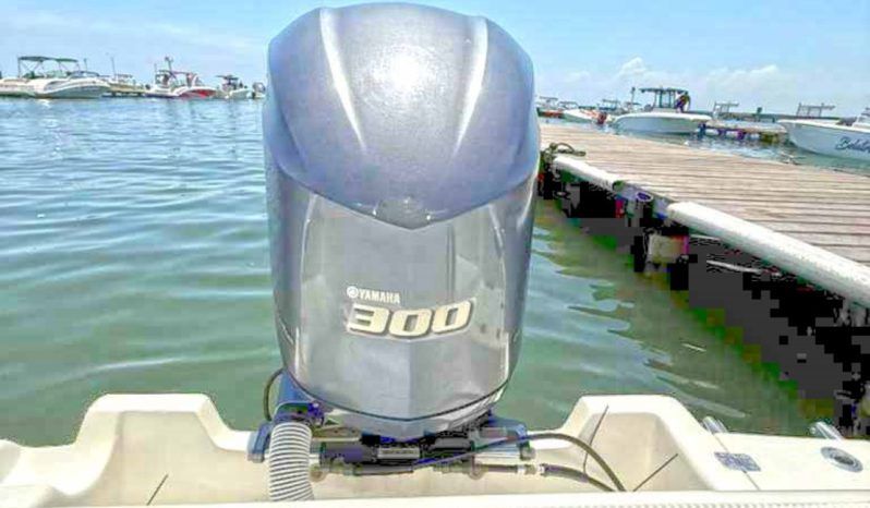 
								AQUANAUTI OPEN 24 full									
