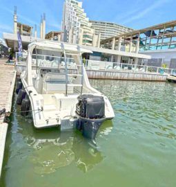 
										AQUANAUTI OPEN 24 full									