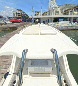 
										AQUANAUTI OPEN 24 full									
