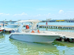 
										AQUANAUTI OPEN 24 full									