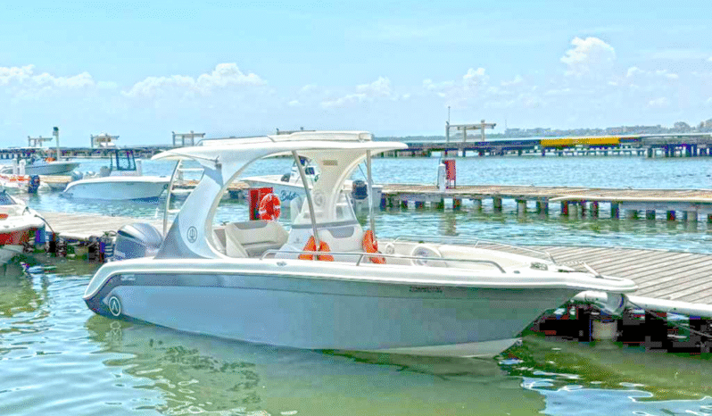 
								AQUANAUTI OPEN 24 full									