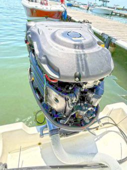 
										AQUANAUTI OPEN 24 full									