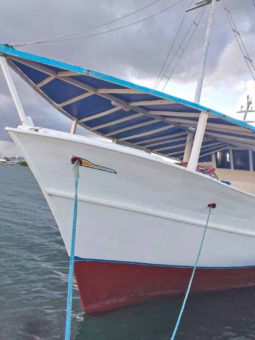 
										BARCO PESQUERO DE MADERA 19MTRS full									