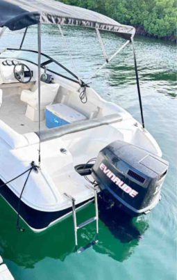 
										BAYLINER OPEN 18.5 full									
