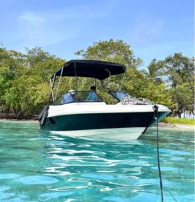 BAYLINER OPEN 18.5
