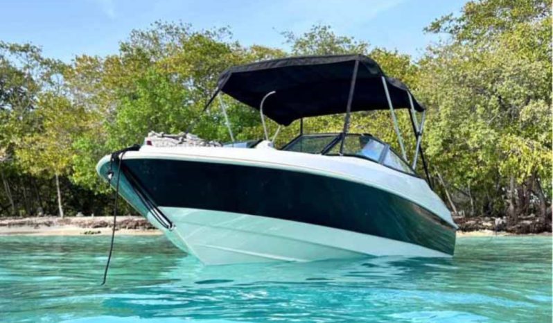 
								BAYLINER OPEN 18.5 full									