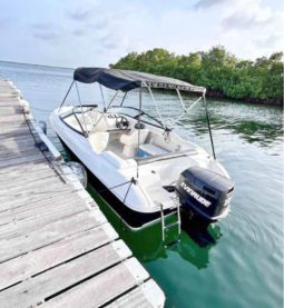 
										BAYLINER OPEN 18.5 full									