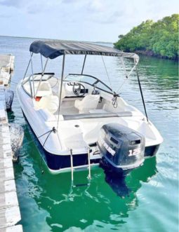 
										BAYLINER OPEN 18.5 full									