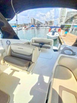 
										CHAPARRAL SIGNATURE 27 full									