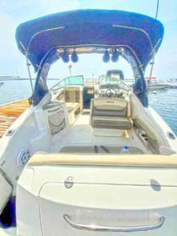 
										CHAPARRAL SIGNATURE 27 full									