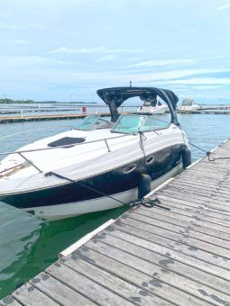 
										CHAPARRAL SIGNATURE 27 full									