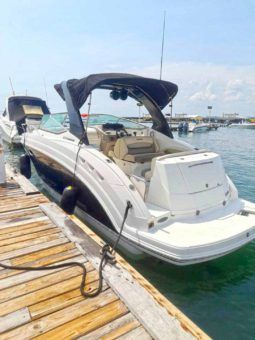 
										CHAPARRAL SIGNATURE 27 full									