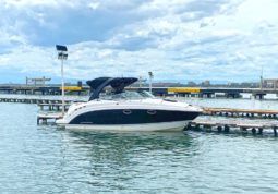 
										CHAPARRAL SIGNATURE 27 full									